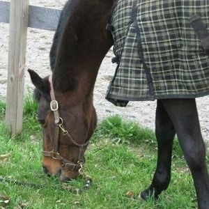 Meet your Posher, Barbara